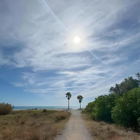 Daire Nasay Magic World *